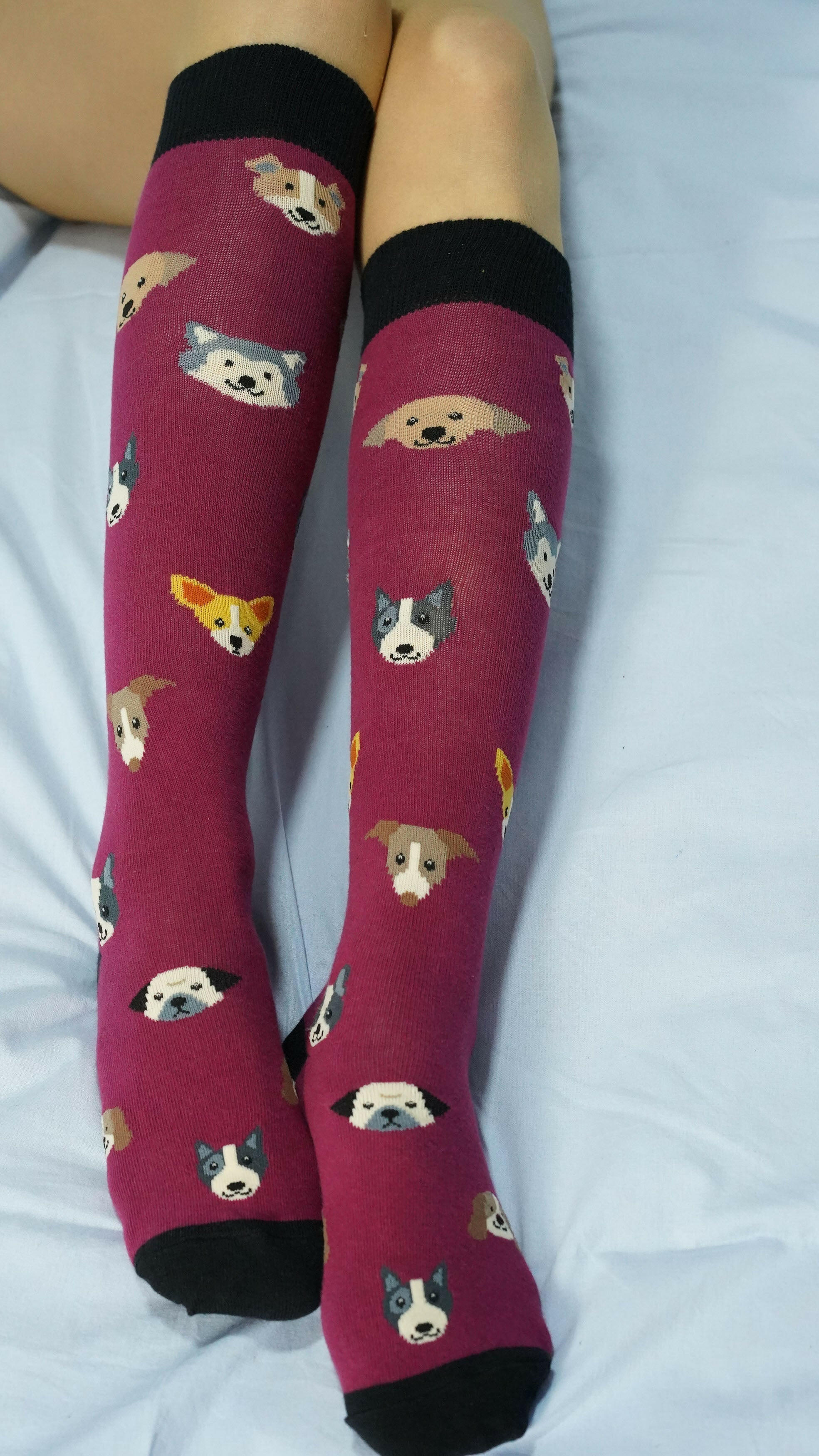 Women's Cute Dogs Knee High Socks Set.