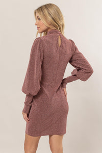 HYFVE Glitter Mock Neck Long Sleeve Mini Dress.