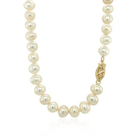 14k Yellow Gold Necklace with White Freshwater Cultured Pearls (6.0mm to 6.5mm) - Forever in Harmony