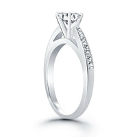 14k White Gold Cathedral Engagement Ring with Pave Diamonds - Forever in Harmony