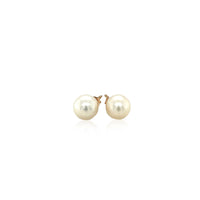 14k Yellow Gold Freshwater Cultured White Pearl Stud Earrings (6mm) - Forever in Harmony