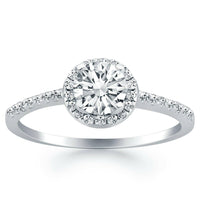 14k White Gold Diamond Halo Collar Engagement Ring - Forever in Harmony