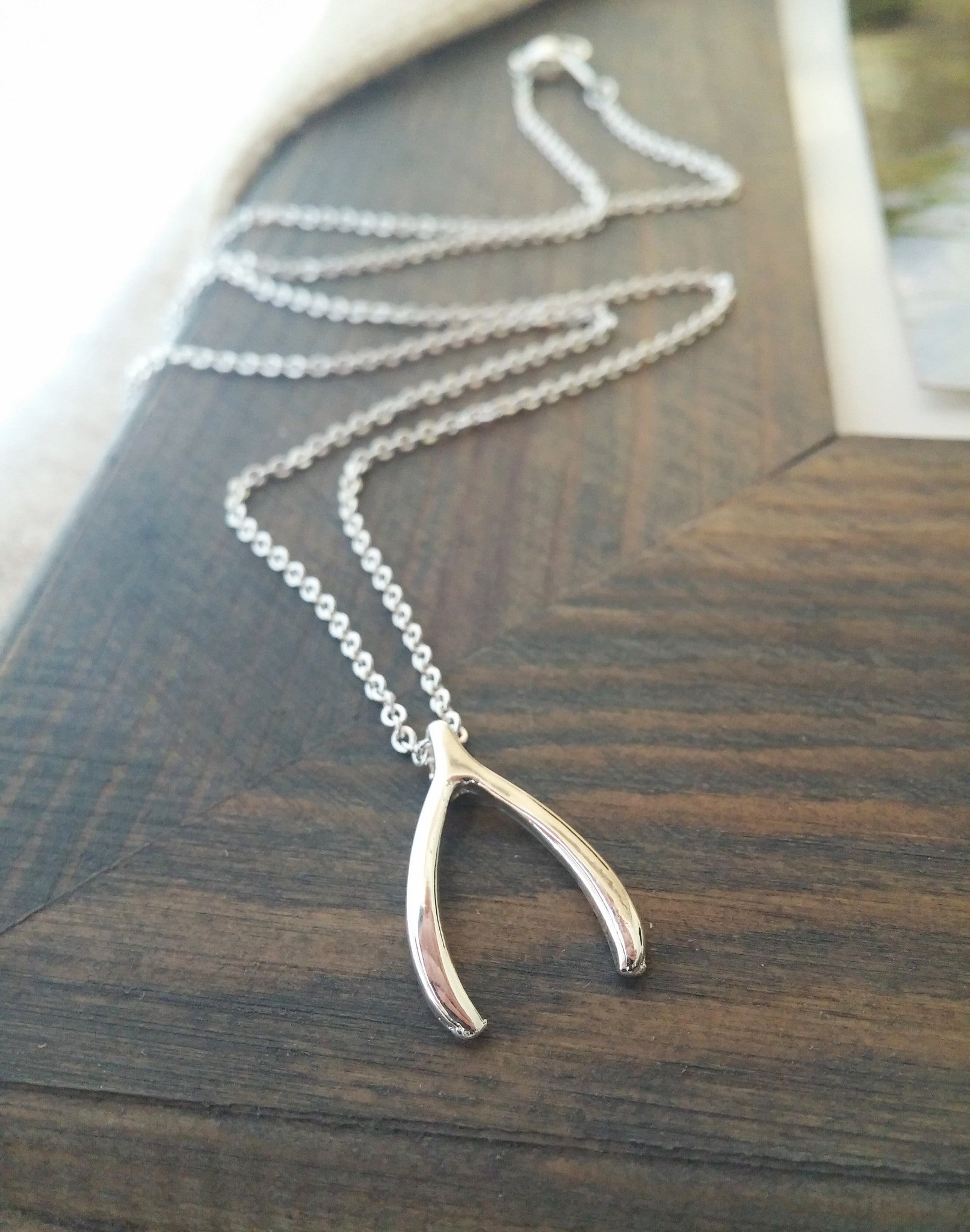 Silver Wishbone Necklace.